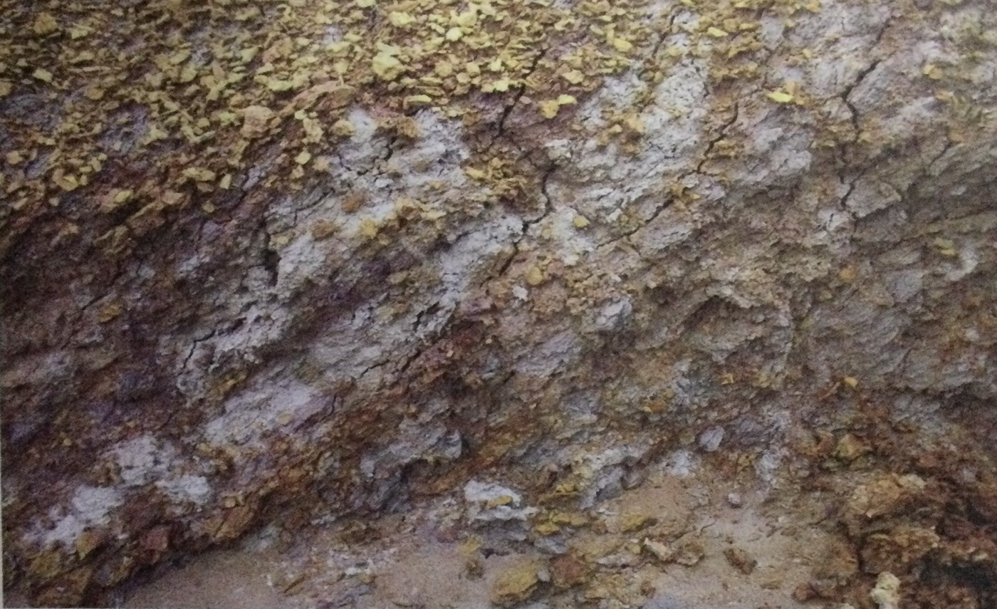 Hình 5-1: Khoáng tầng nộn nê (bùn non) tạo nên Chu nê