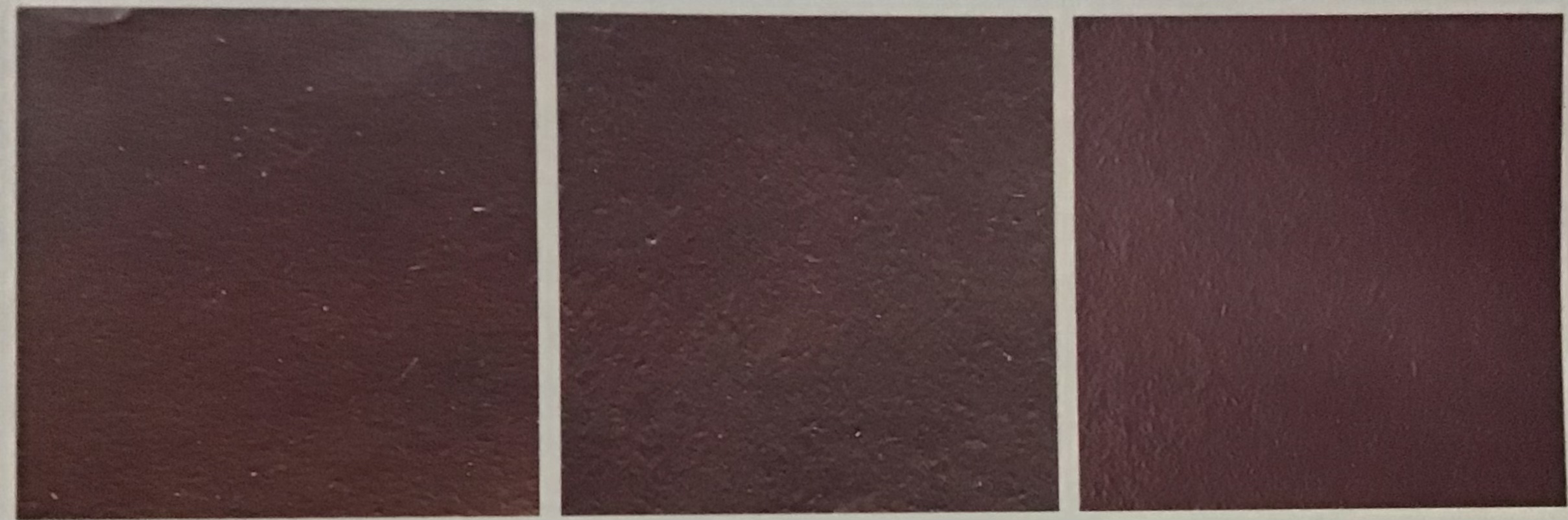 Hình 5-31: Thay đổi màu sắc khi nung chu nê đại hồng bào ở các nhiệt độ khác nhau
